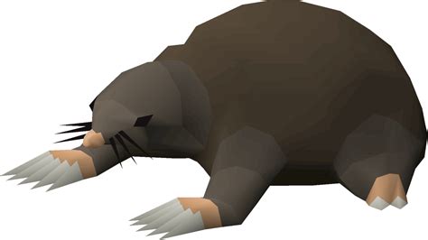 osrs giant mole|kill giant mole osrs.